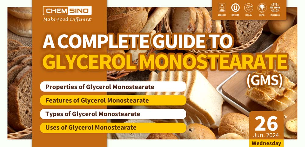 A Complete Guide to Glycerol Monostearate (GMS)